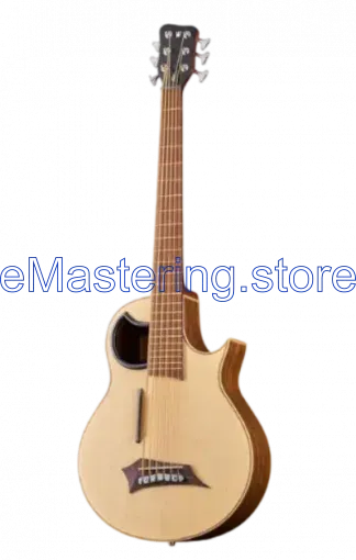 Warwick Alien 6 NT